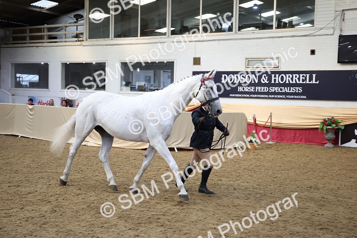 SBM_24797 - Class 906 - Supreme Final - Ridden Pre Vet