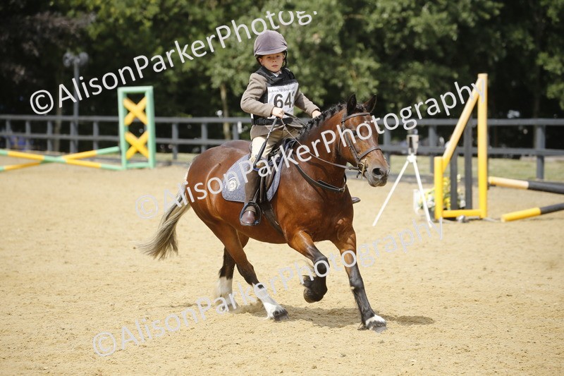 20250622-4089 - 50cm