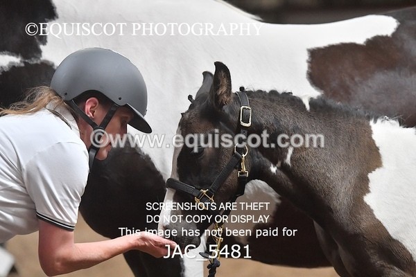 JAC_5481 - 12 Mind Over Matter