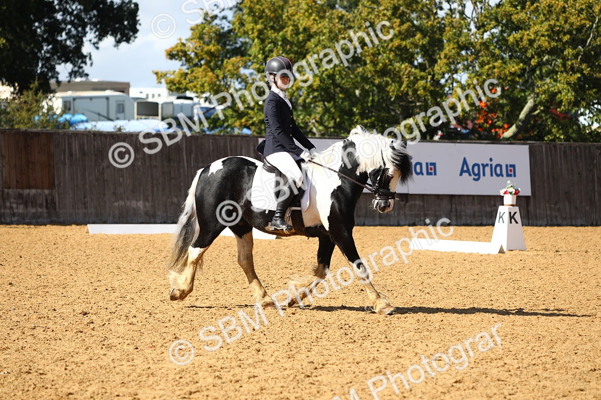 SBM_49033 - D23 - Junior Championship Prelim 1
