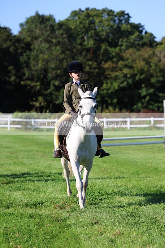 3E7A7518 - Class 1: Novice Working Hunter Pony