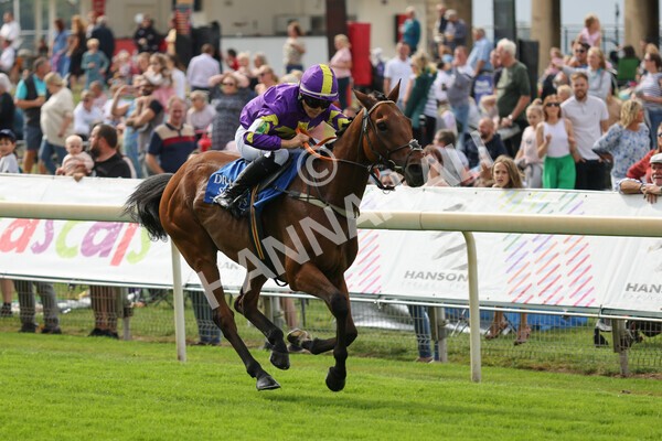 yr04092022p2-24 - 12.50pm. 148cm Open Pony Race