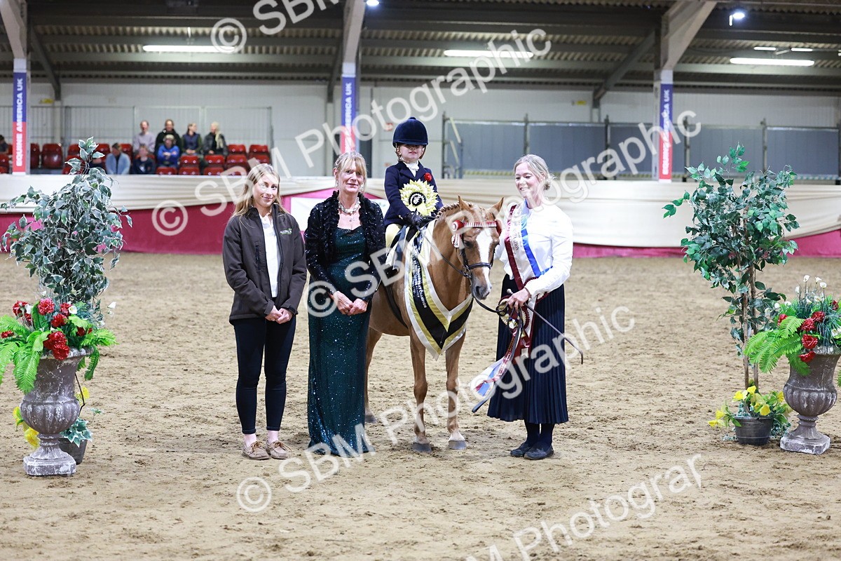 SBM_20579 - Class H - IH Competition - Riding Club champ