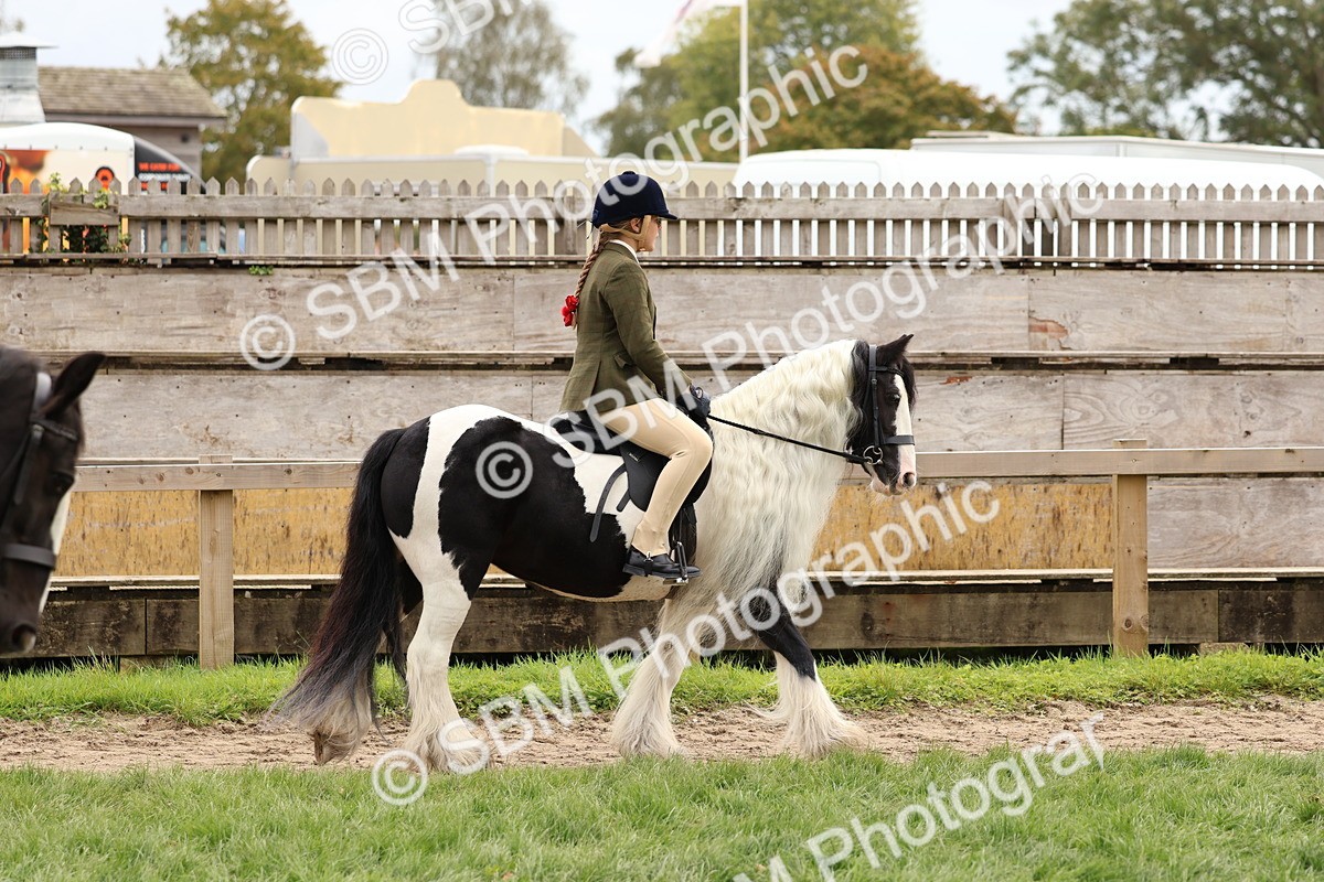 SBM_64360 - S58 - Coloured Pony Ridden