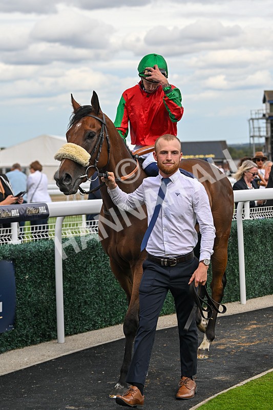 300825-Race 5-High On Hope-1519 - Race 5