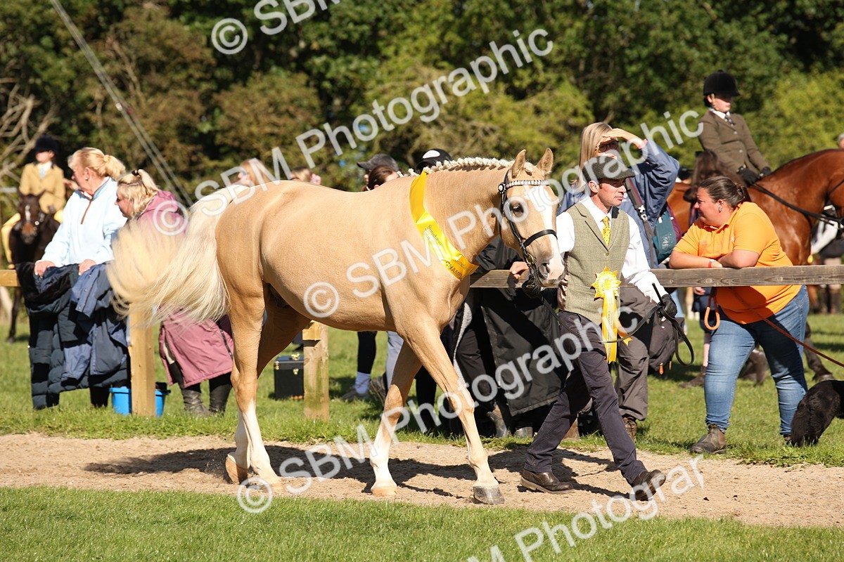 SBM_36661 - S10 - Best In Hand Horse & Pony