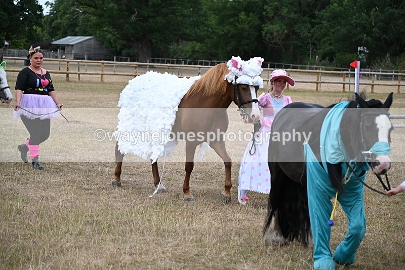 WJ6_8707 - Class 11 Fancy Dress