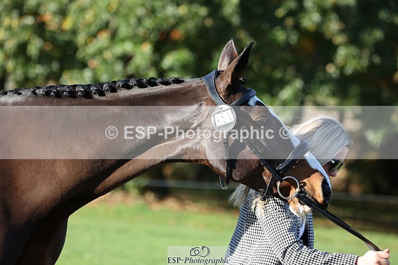 241027-091212-15113 - 351-Grace.Gillard-INDI