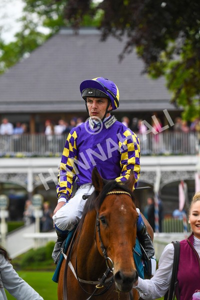 190523-Race 6-Eligible-0870 - Race 6 4.45pm Yorkshire Equine Practice Handicap