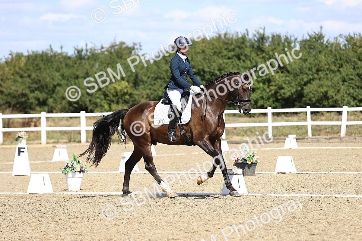 SBM_013984