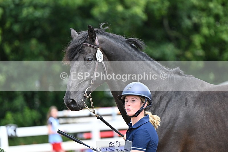 240718A-105309-01634 - Trot Up 1pm to 2pm