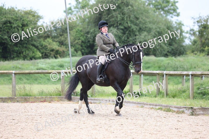 20250524-1336 - Class 16 - Hunter and Cob