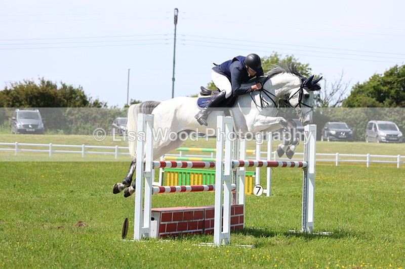 3E7A1277 - Class 12: Senior Foxhunter/1.20 open