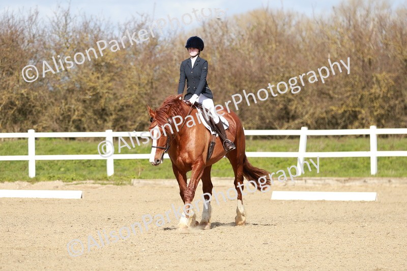 20260314-2937 - DR3 - Prelim 1