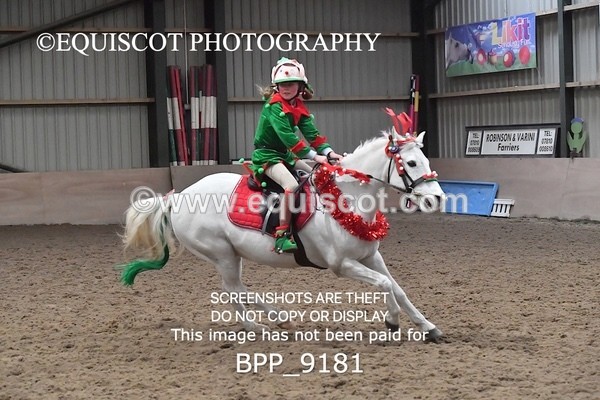 BPP_9181 - CLASS 4 50CM Novice Show Jumping