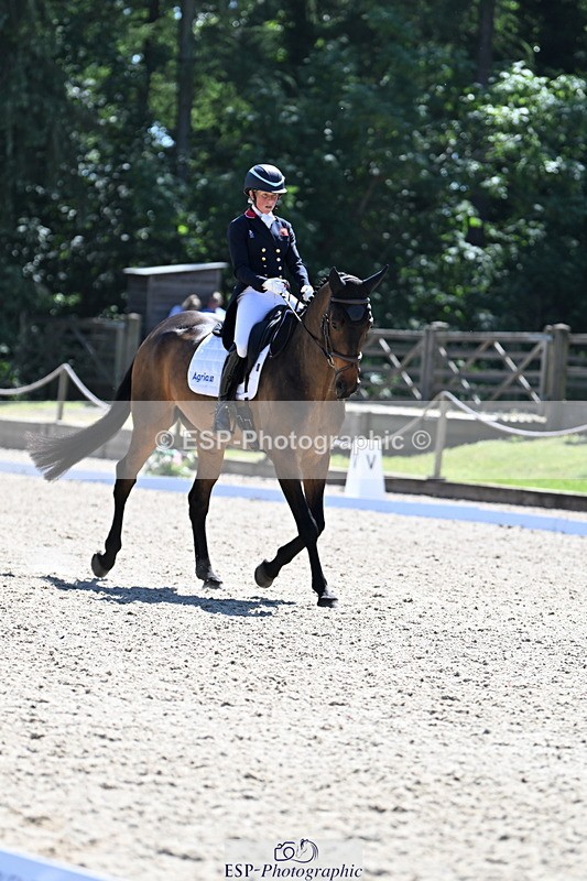 250522A-151407-03993 - C-220-Rosalind.Canter-GRAFFITO