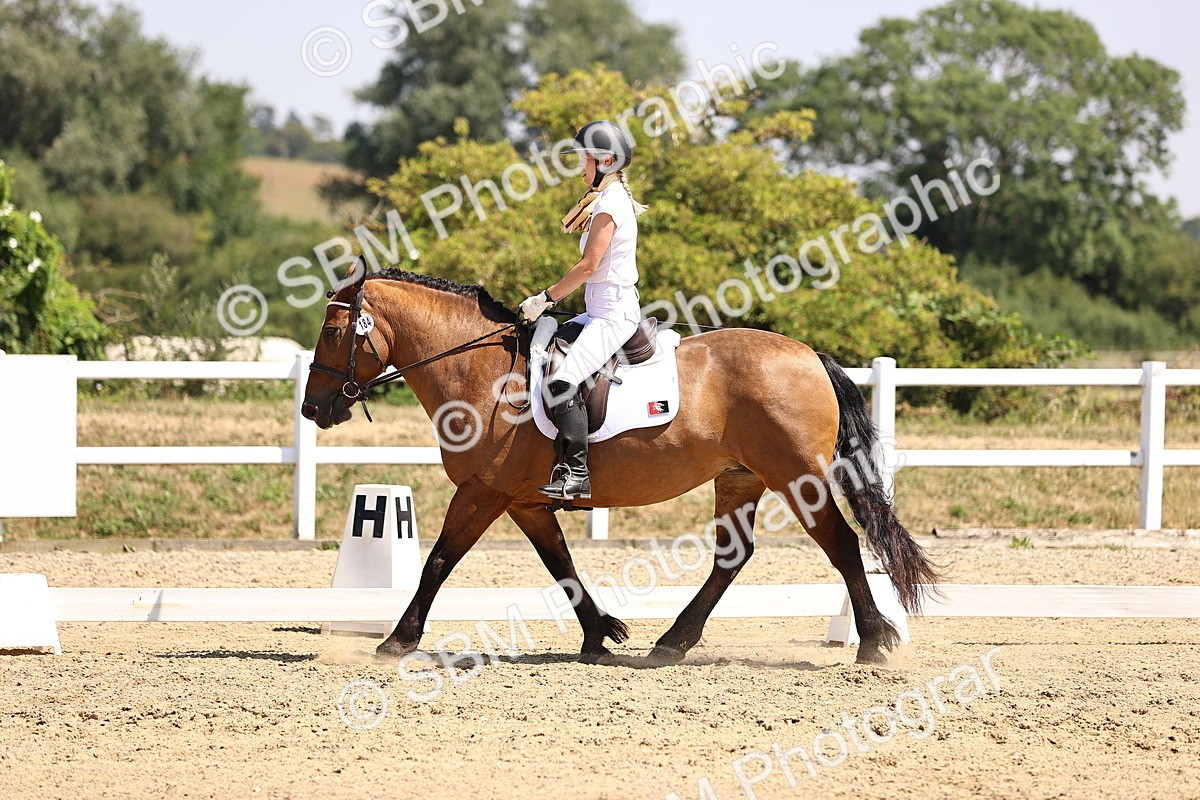 SBM_004016 - Intro 2