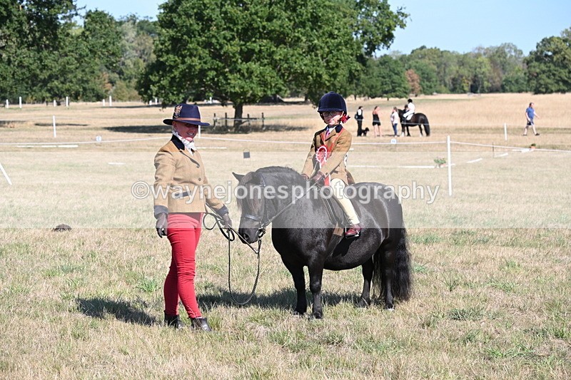 WJ6_7661 - Class 34 Judges Choice