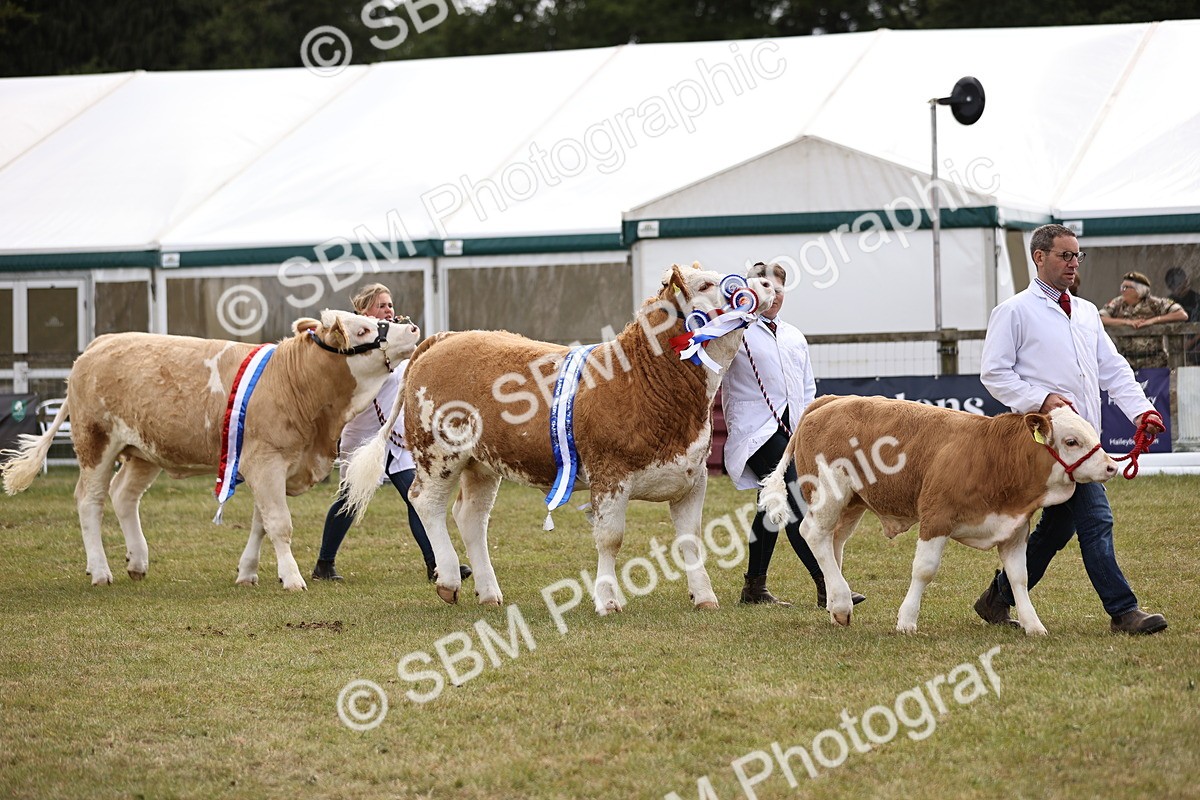 SBM_16907 - Grand Parade