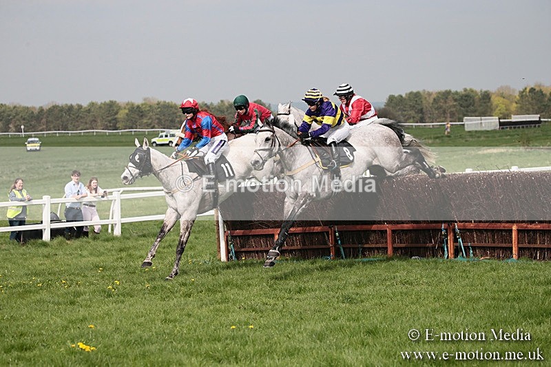 PtP 210418 259 - South & West Wilts Point-to-Point Larkhill 21/04/18