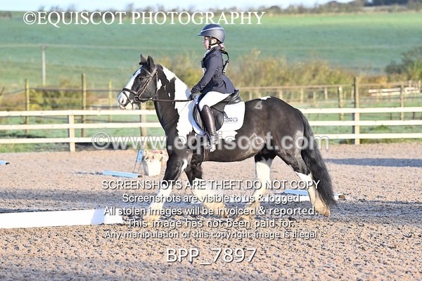 BPP_7897 - LONG ARENA