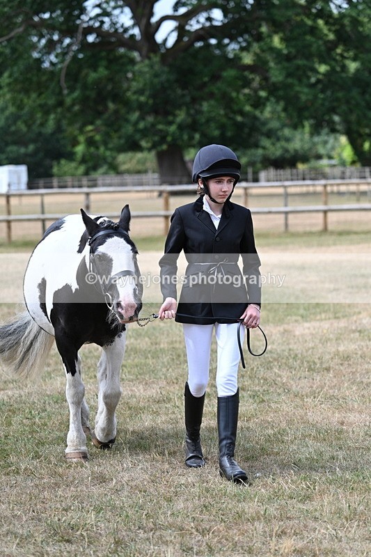 WJ7_1692 - Class 4 Prettiest Mare up to 14.2hh in hand