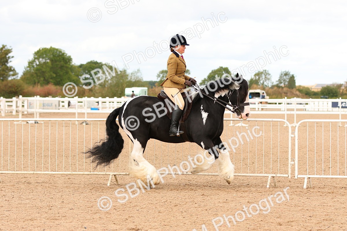 SBM_15662 - Class 215 - Ridden Traditional - Native Cobs