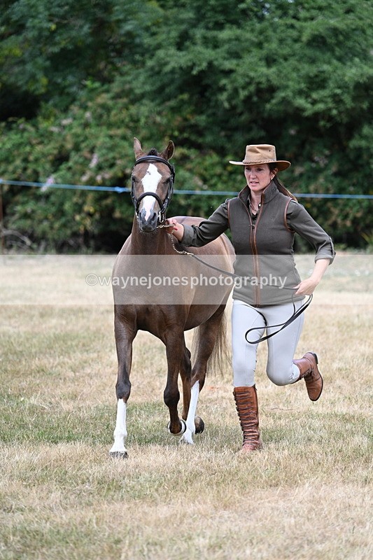 WJ7_1525 - Class 4 Prettiest Mare up to 14.2hh in hand