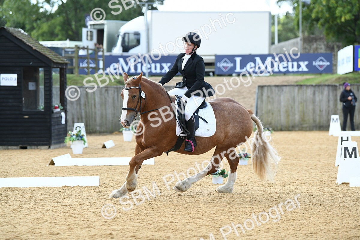 SBM_03110 - D7 Small Tour Championship Prelim 1