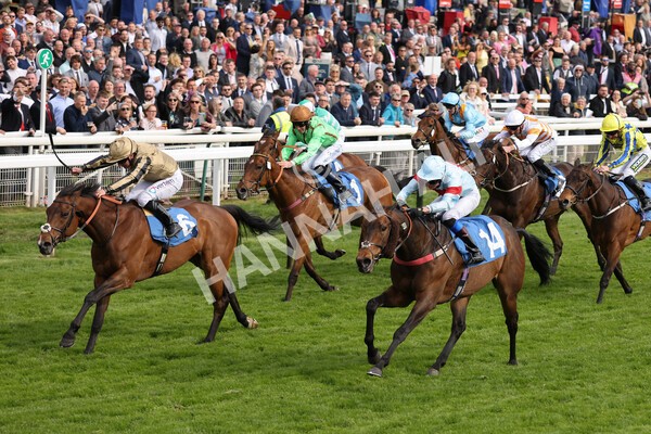 yr13052022r6-28 - Race 6 4.45pm Yorkshire Equine Practice Stakes