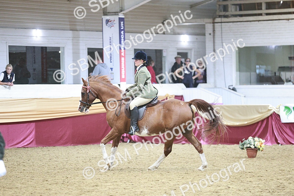 SBM_08142 - Class 11R - Regional Ridden Veteran