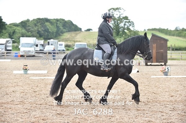 JAC_6288 - ELEMENTARY