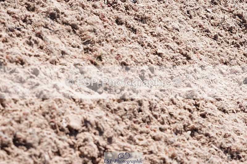 250503-143700-01570 - Cls 28 Springboard