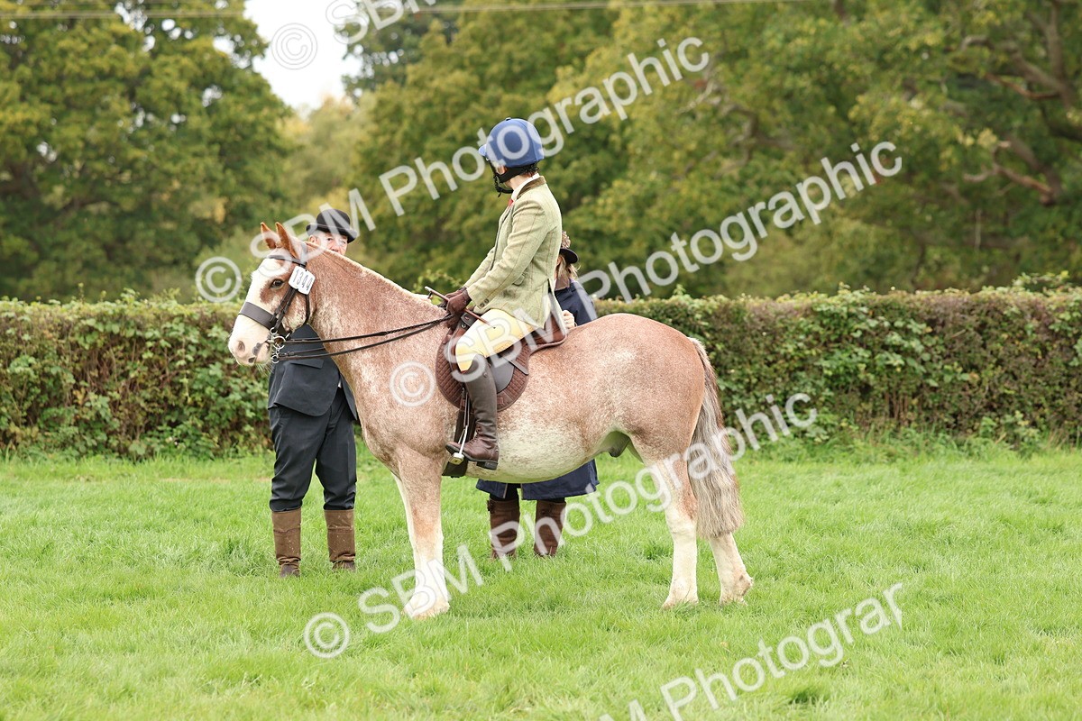 SBM_64488 - S58 - Coloured Pony Ridden