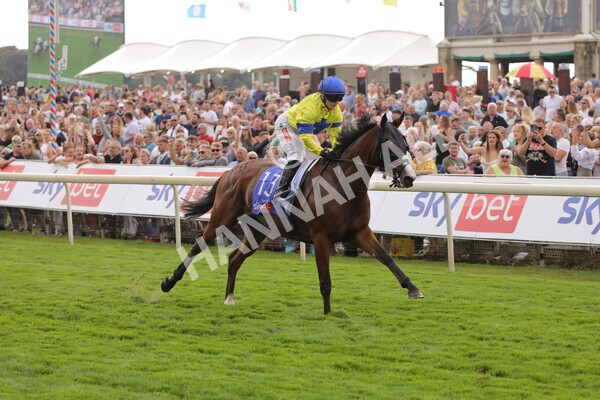 yr20082022r2-32 - Race 2 2.35pm Sky Bet Melrose Stakes