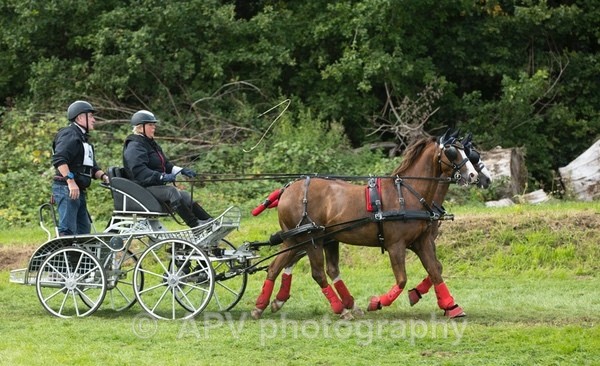 A43A4532 - Sylv & Dougie Days Out.