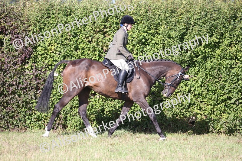 20260906-0403 - Class 14 - Ex Racehorse
