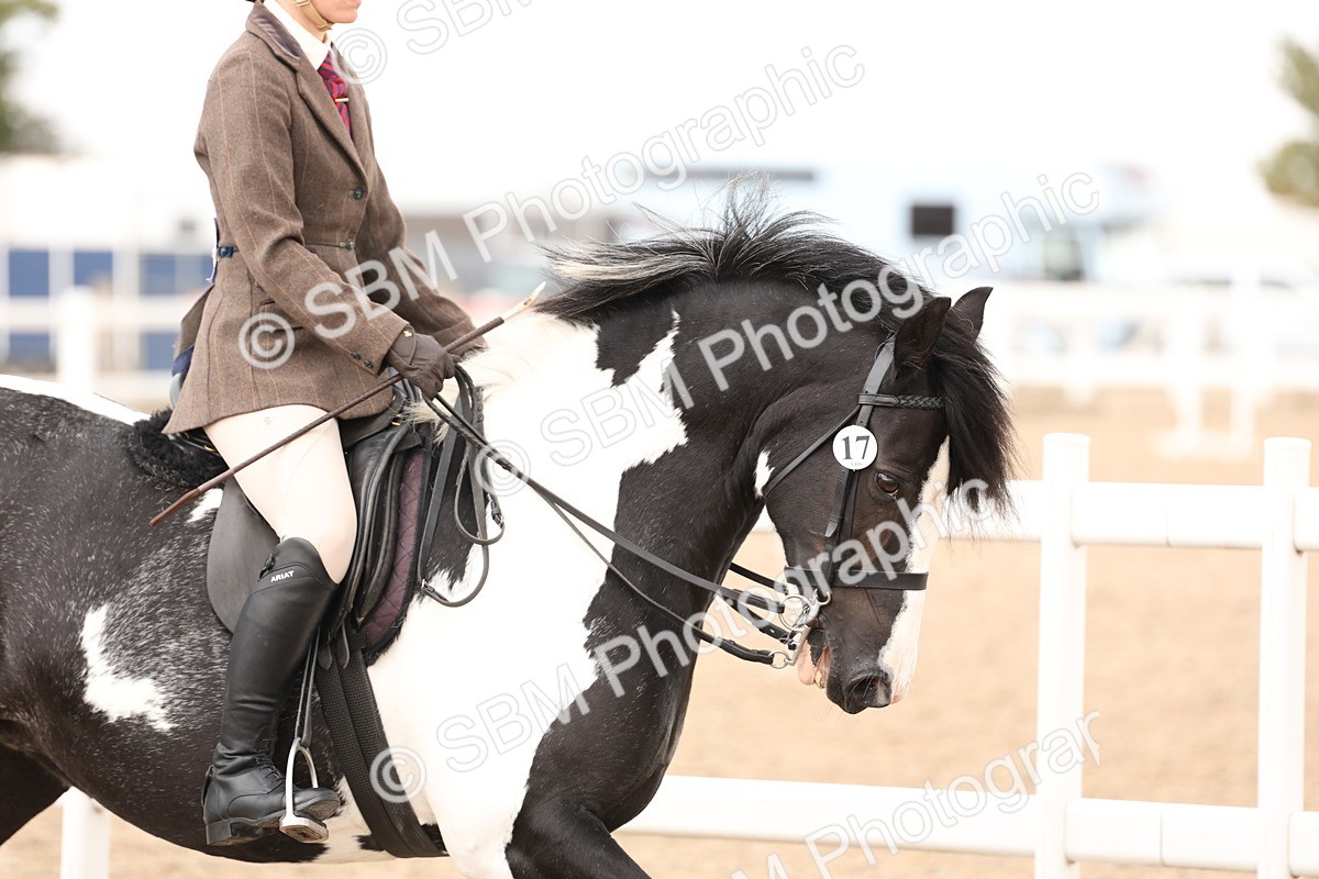 SBM_19625 - Class 216 - Ridden Traditional - Native Cob