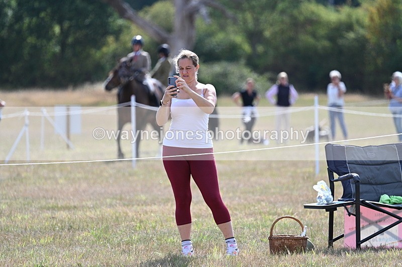 WJ7_2679 - Class 8 Ridden Tack & Turnout
