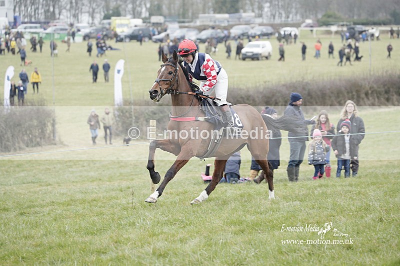 PtP 040323 431 - Duke of Beauforts Hunt Point-to-Point Didmarton 04/03/23