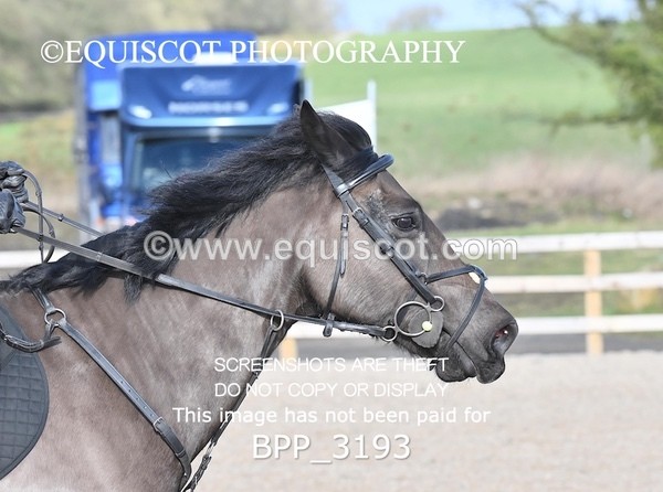 BPP_3193 - CLASS 1  Club/ Unaffiliated 70cms Open