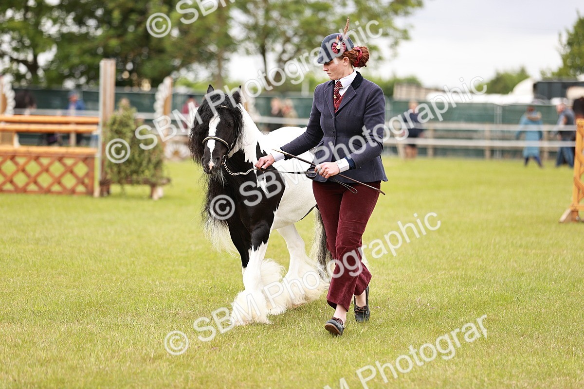 SBM_05992 - Class 39-41 TGCA In Hand and Ridden