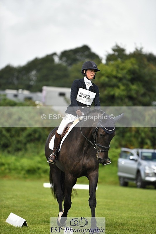 230826-110021-15687 - Sections C & D 10 to End