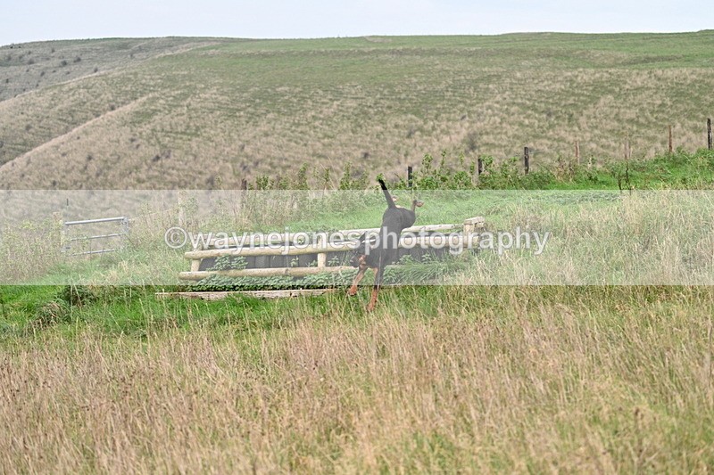 WJ7_9855 - Camera 1 & Last fence