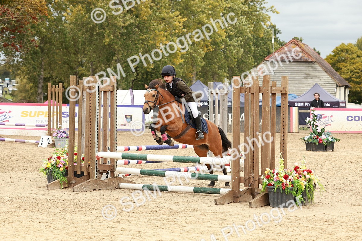 SBM_67016 - J13 - Junior Pony 60cm Championship