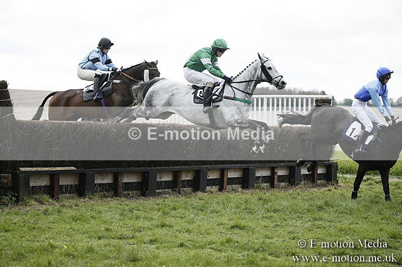 PtP 170417 77 - Old Berks Point-to-Point Lockinge 17/04/17