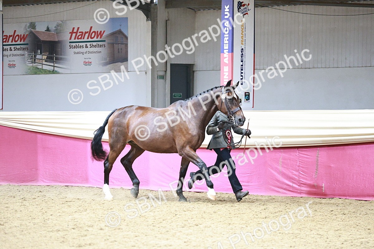 SBM_06621 - Regional - IH Champs