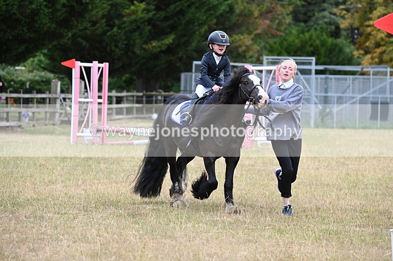 WJ6_9550 - Class 12 Minimus Jumping 45cm