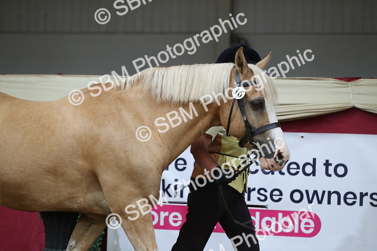 SBM_06206 - Class 9R Regional- IH Pre Vet