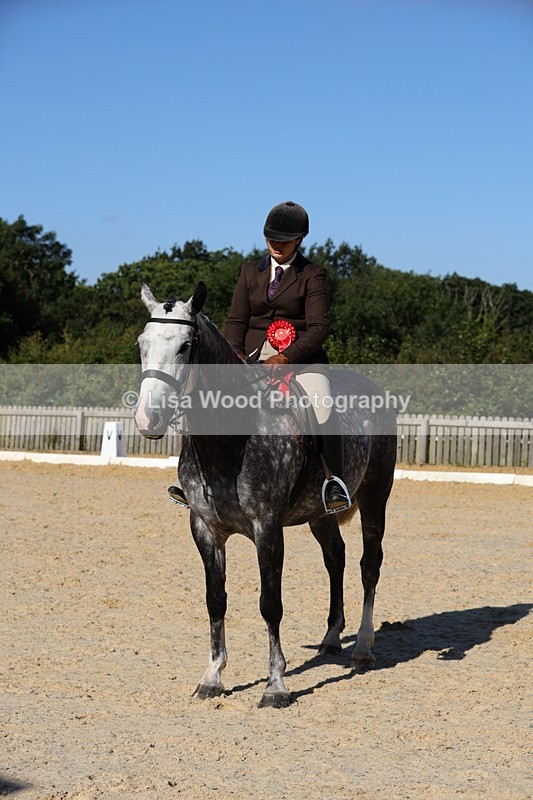 1X9A7691 - Class 8: Small Ridden Hunter